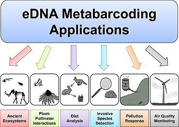 显示eDNA应用的图表
