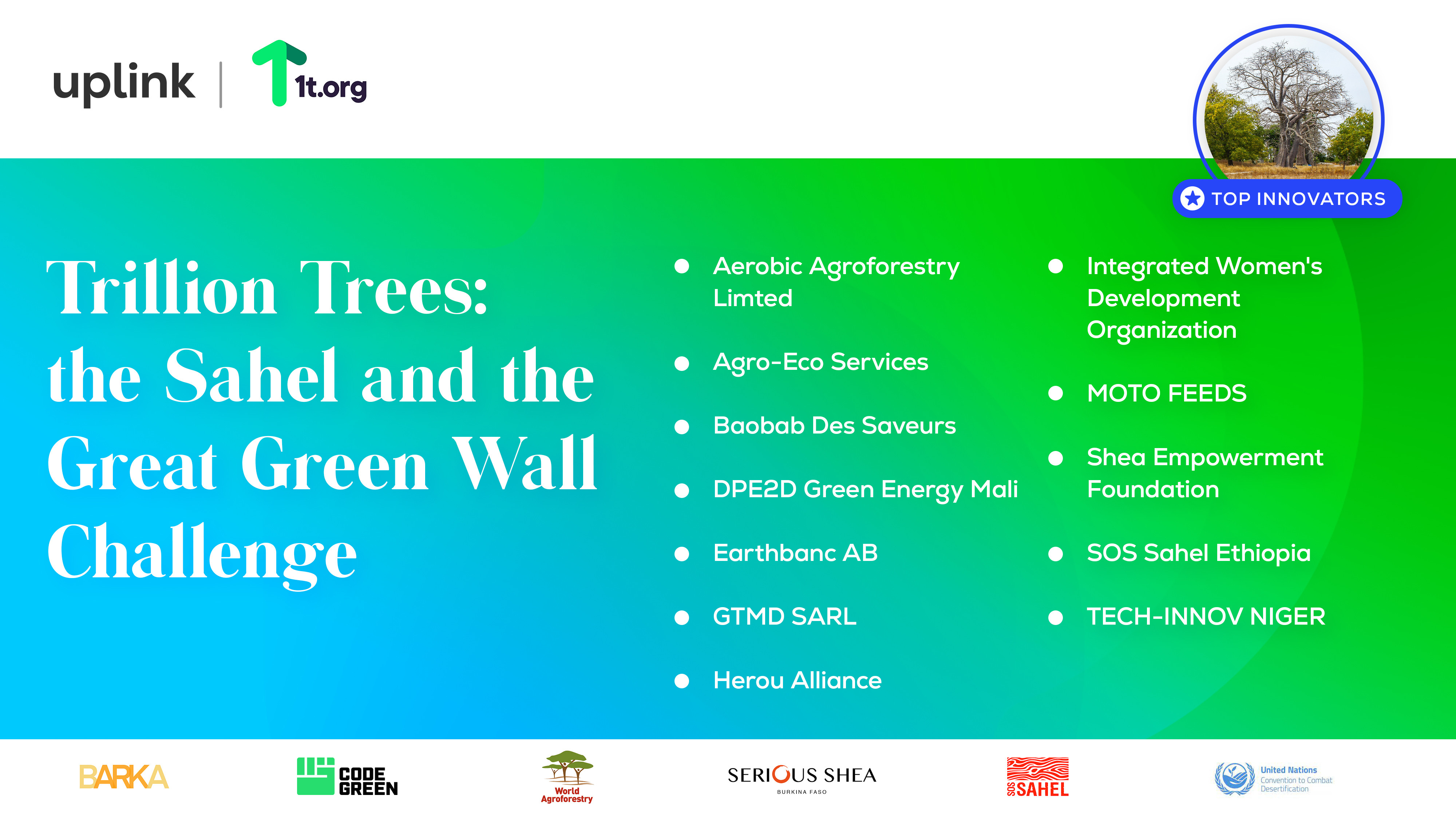 以下是“2022万亿棵树:萨赫勒和绿色长城”挑战赛的获胜者