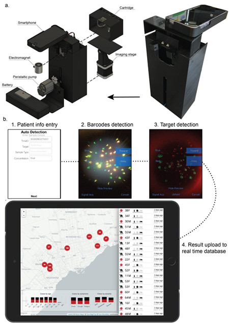 T大学生物医学工程研究所开发的一种设备利用普通智能手机摄像头快速检测COVID-19。