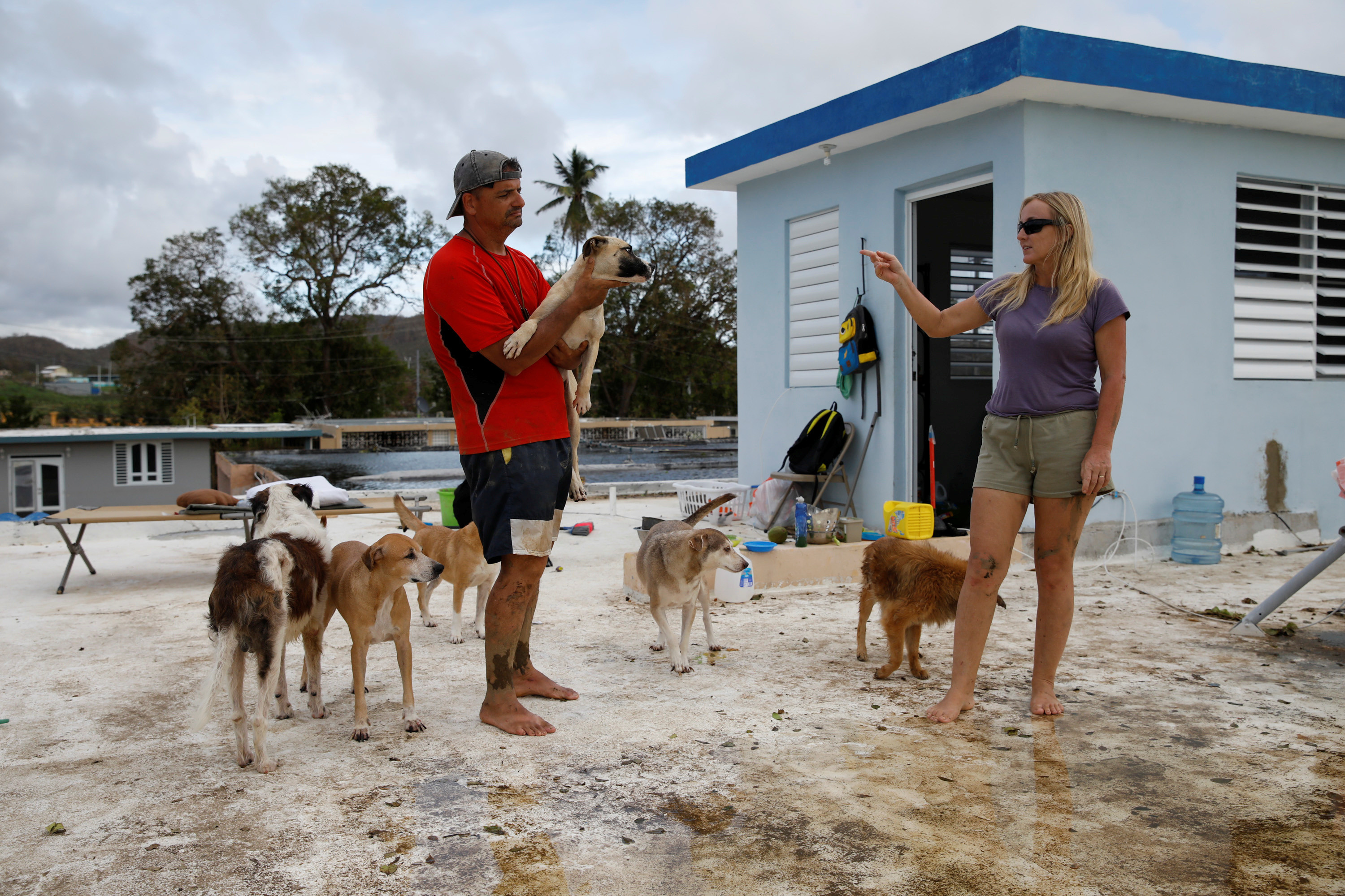 飓风过后，Sandra Harasimowicz和她的丈夫Gary Rosario在邻居的屋顶上交谈，Gary抱着他们的一只狗。